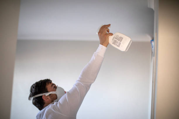 Trusted Singac, NJ Mold Removal Experts