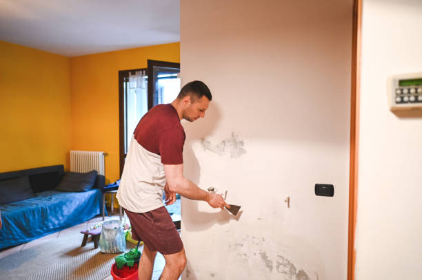 Attic Mold Removal in Singac, NJ